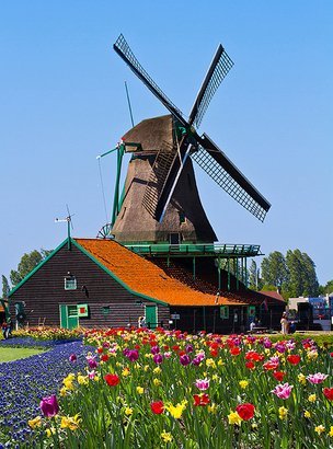 Фотообои Мельница 200х270 см из коллекции Divino Decor
