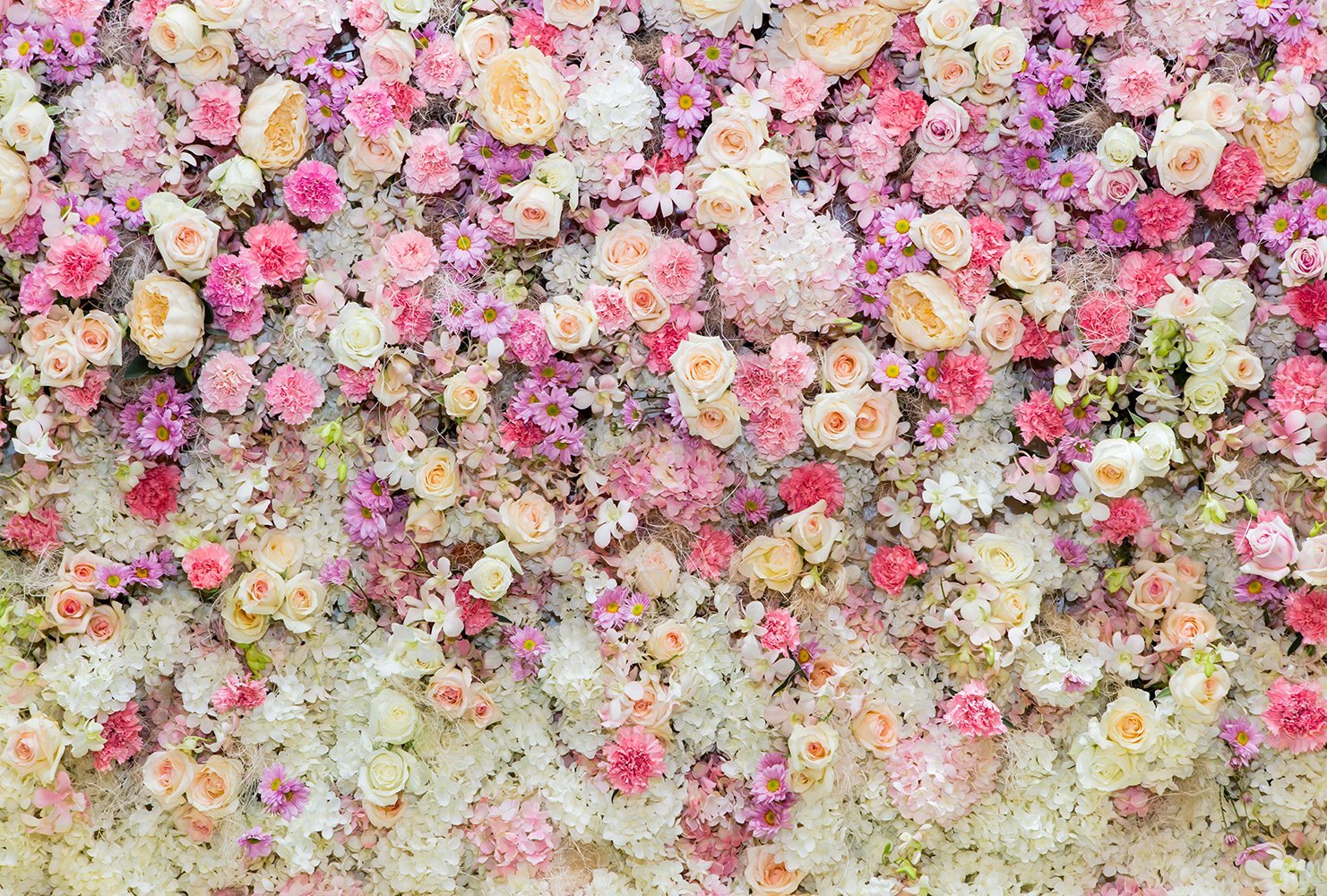 Фотообои Стена цветов 400х270 см из коллекции Divino Decor