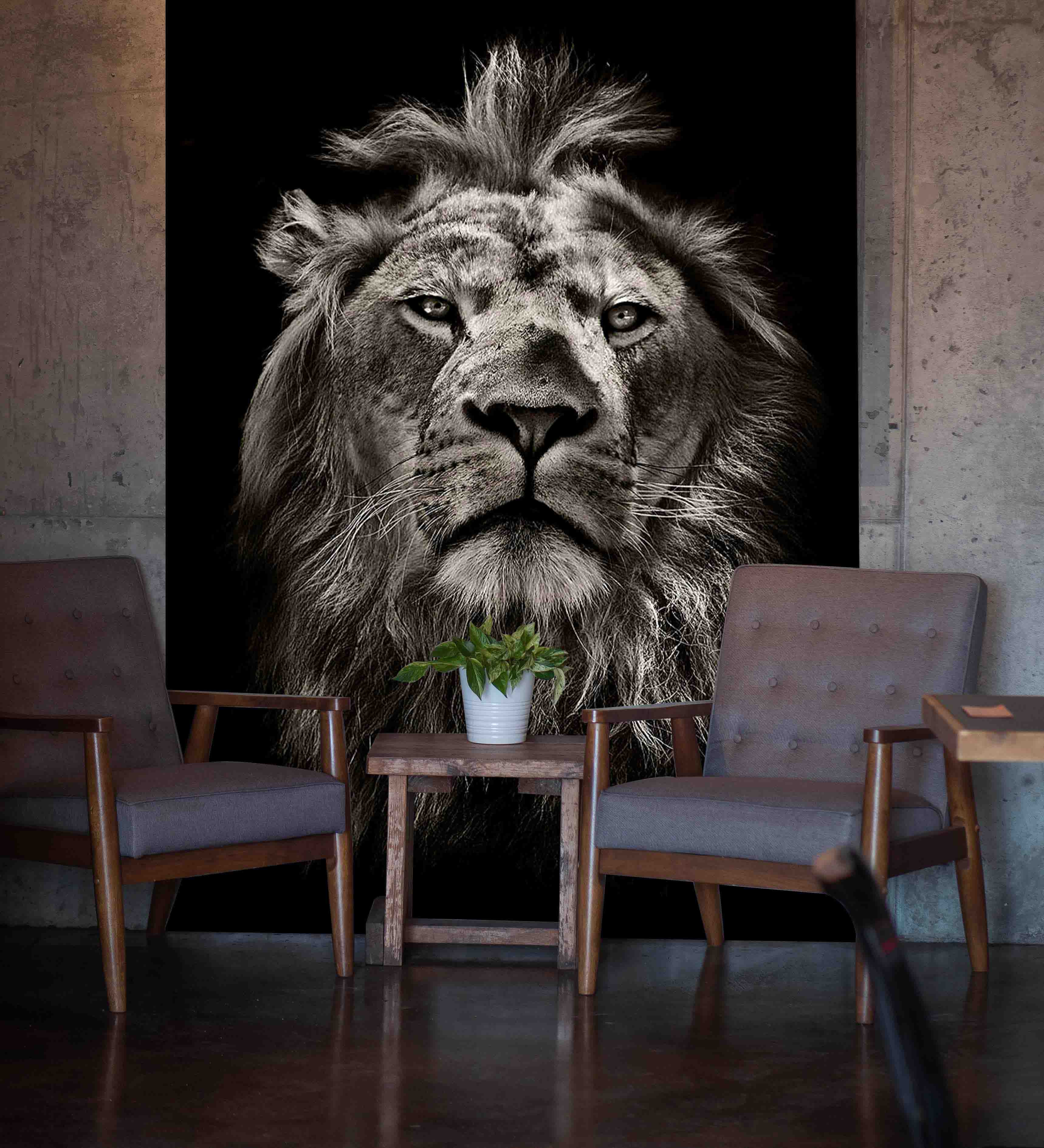 Фотообои Е-002 Лев ч/б 200х270