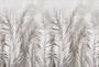 Фотообои F-356 Крупные перья 3 (Повторяющиеся) 400х270