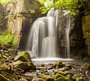 Фотообои Водопад в реликтовом лесу 300х270 см из коллекции Divino Decor