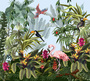 ​Фотообои DIVINO Decor  T-195 Птицы в тропиках 300х270 eps