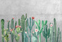 Фотообои Z-372 Кактусы на бетонной стене 400х270