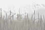 Авторские фотообои SV-016 «Колоски на светло-сером» (на заказ)