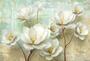 Фотообои Z-333 Крупные цветки магнолии 400х270