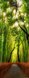 Фотообои Бамбуковая роща 100х270 см из коллекции Divino Decor