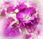 Фотообои Цветы дымка 300х270 см из коллекции Divino Decor