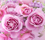Фотообои/T коллекцияПрекрасные розы 300*270