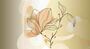 Авторские фотообои SV-001 «Нежный цветок» (на заказ)
