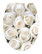 НАКЛЕЙКИ ДЕКОРАТИВНЫЕ ВИНИЛОВЫЕ Divino Sticky/35*45 Розы белые 35х45 см