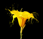 ​Фотообои DIVINO Decor T-094 Желтый цветок 300х270