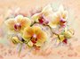 Фотообои Орхидея живопись 200х147 см из коллекции Divino Decor