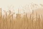 Авторские фотообои SV-014 «Колоски на бежевом» (на заказ)