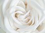 Фотообои Роза белая 200х147 см из коллекции Divino Decor